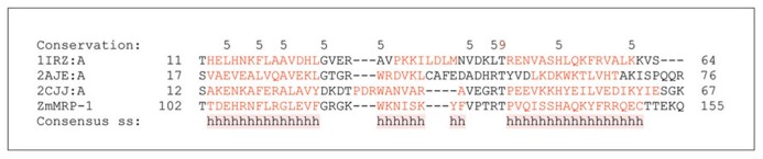 FIGURE 3