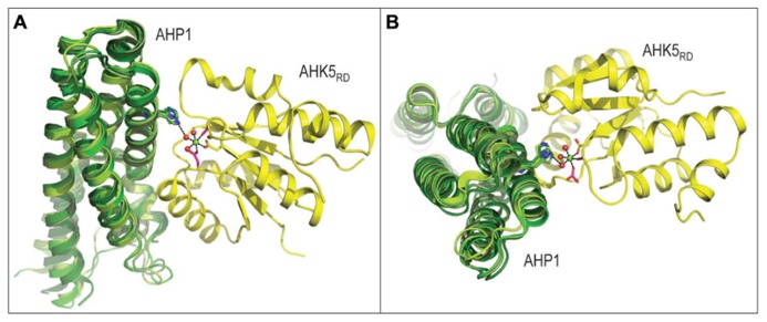 FIGURE 2