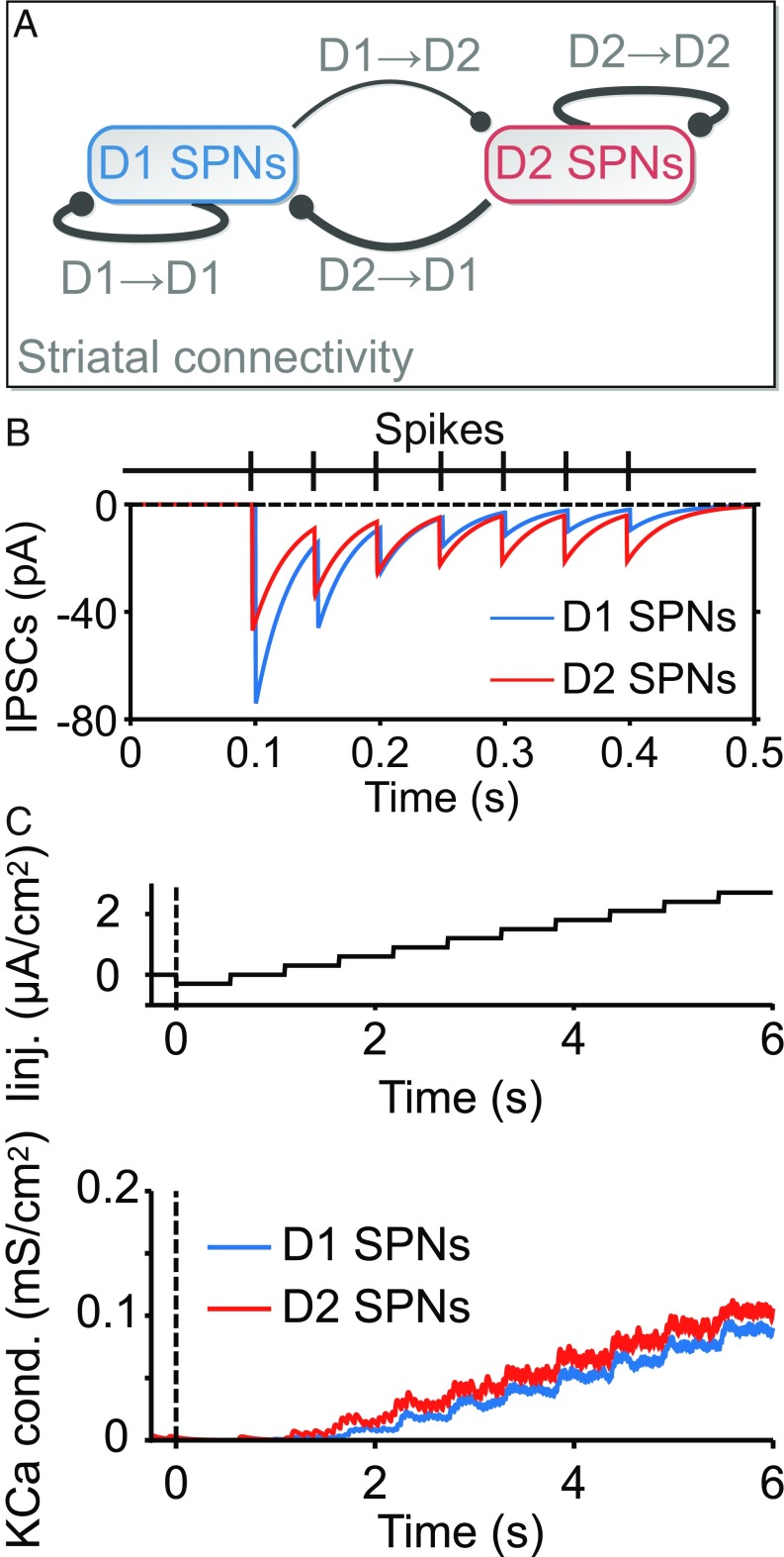 Fig. 2.