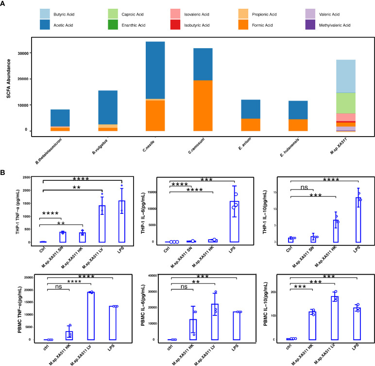 Figure 4