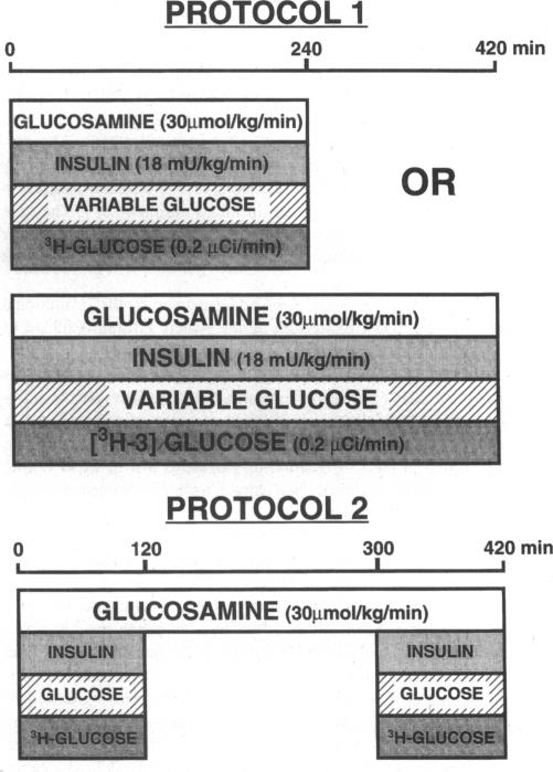 graphic file with name jcinvest00013-0149-b.jpg