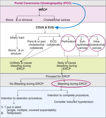 Figure 10