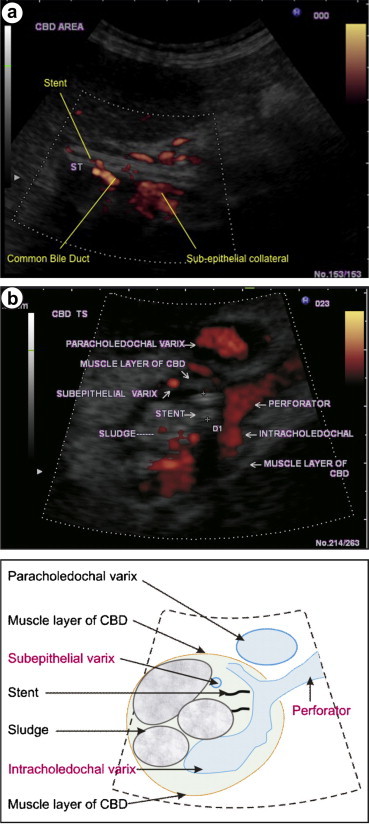 Figure 5