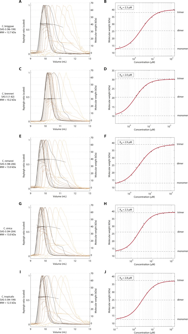 Figure 2—figure supplement 2.