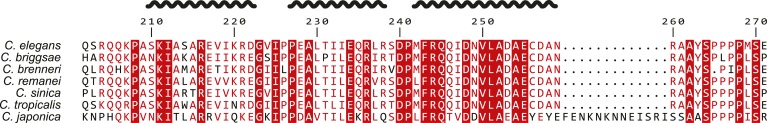 Figure 3—figure supplement 1.