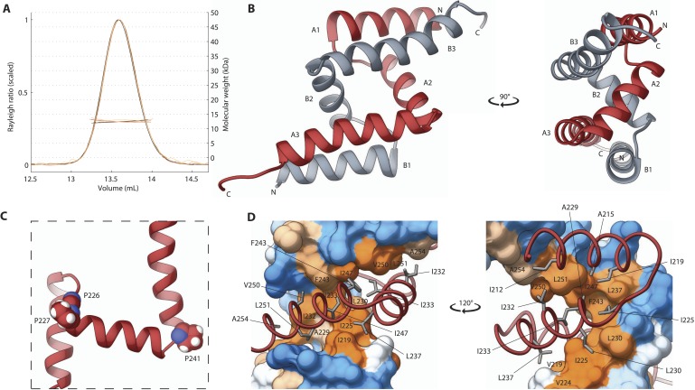 Figure 3.