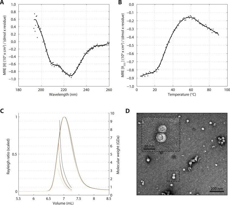 Figure 1—figure supplement 2.