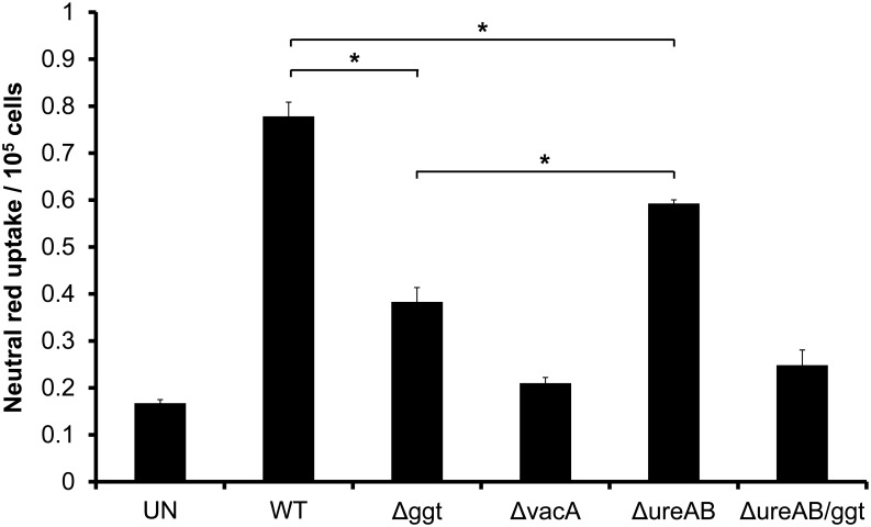 Fig 4