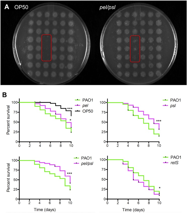 FIG 6