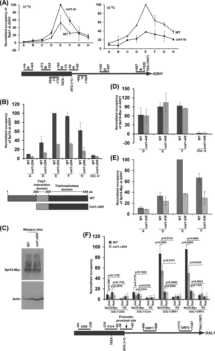 FIG 1