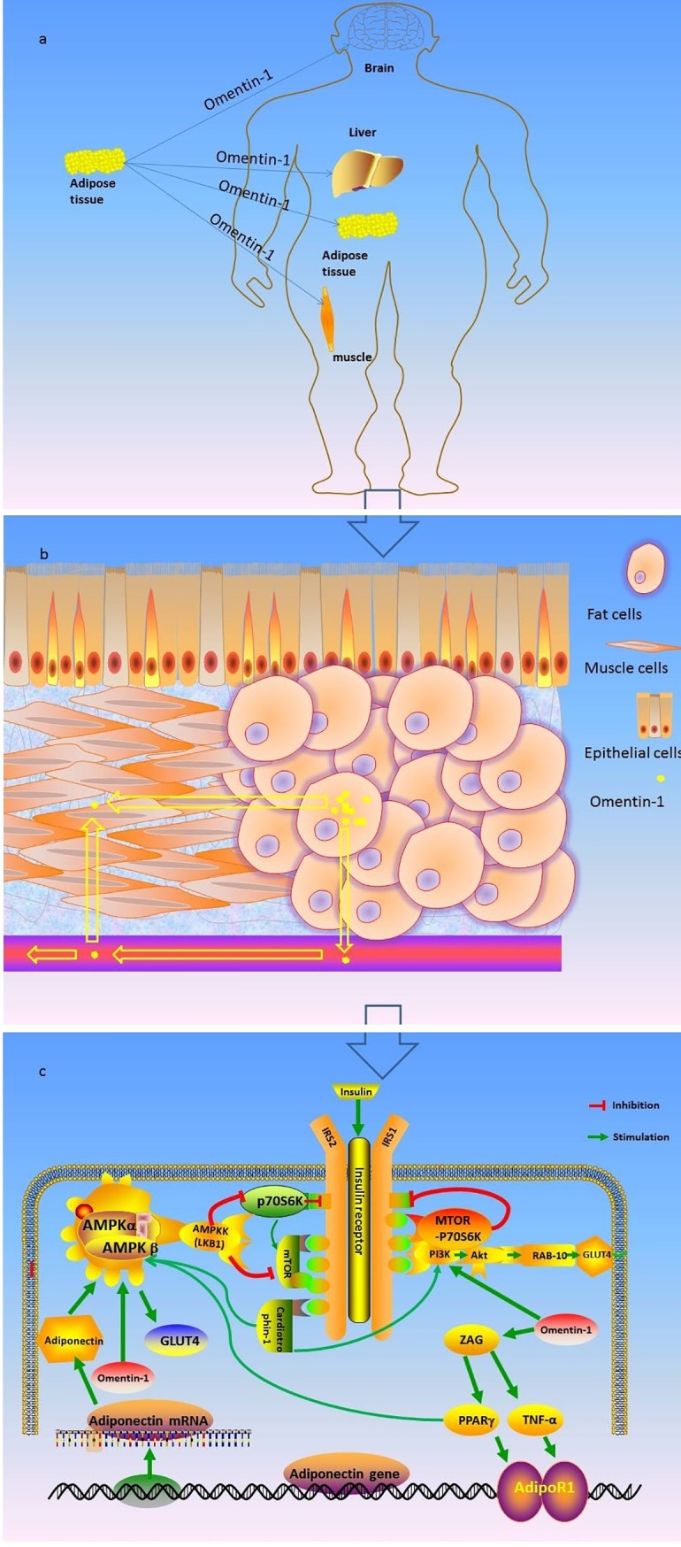 Fig 3