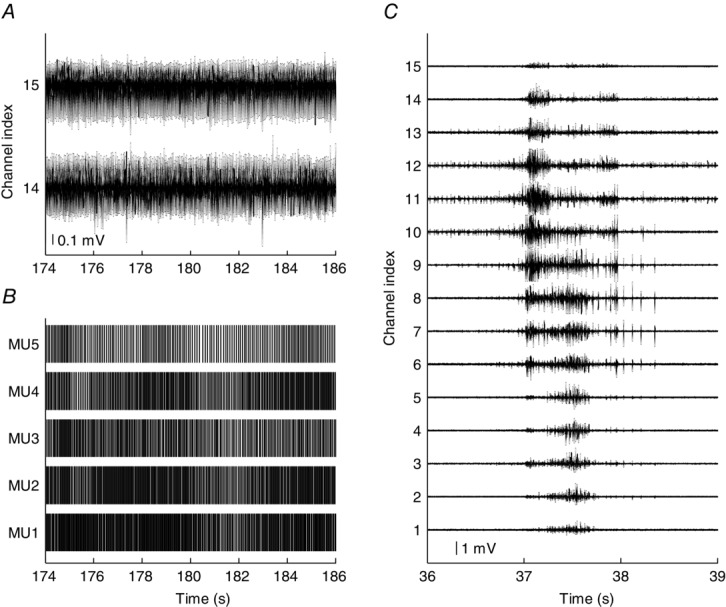 Figure 11