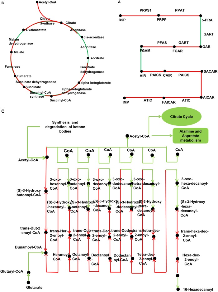 Fig 3