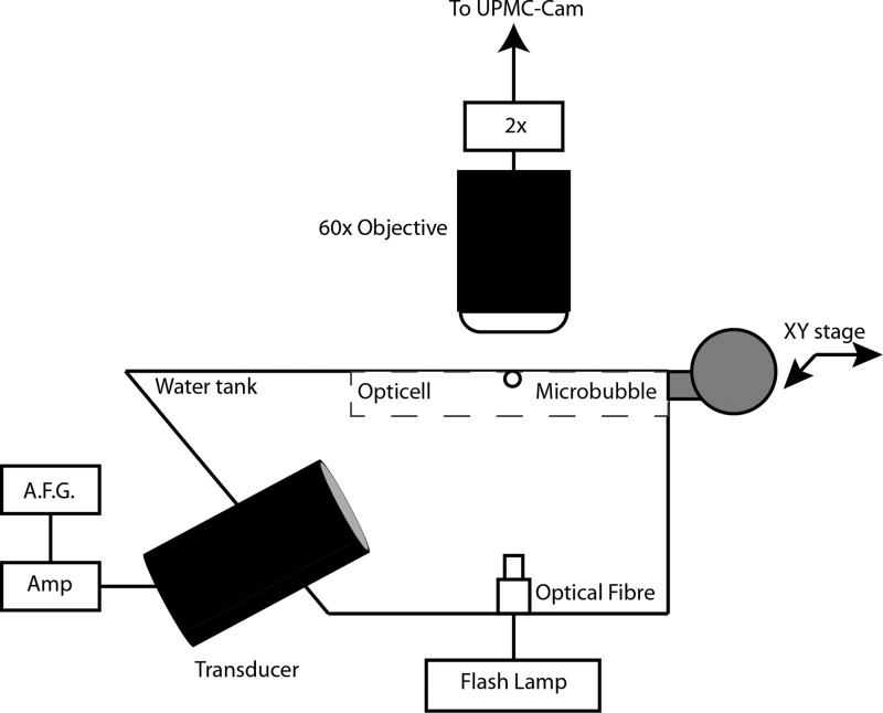 FIG. 1.