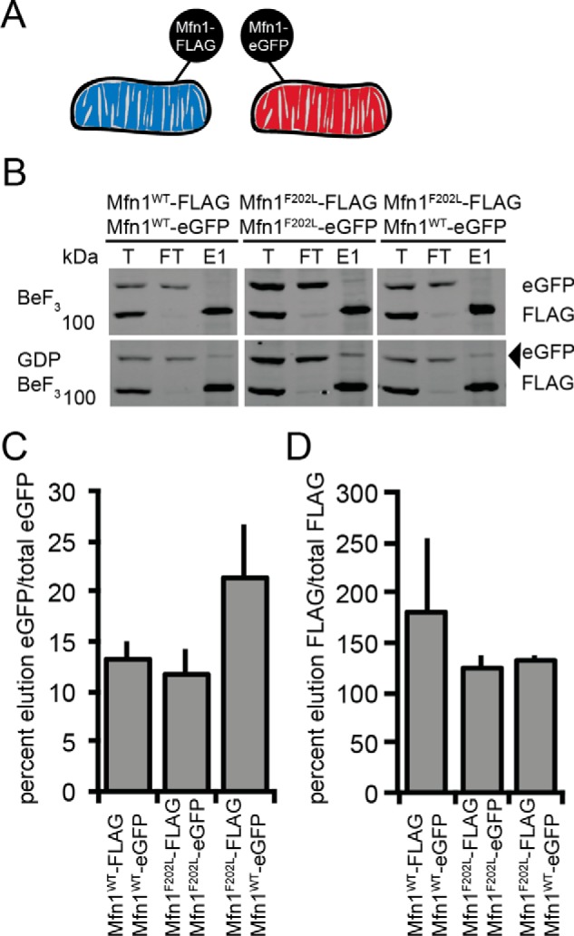 Figure 6.