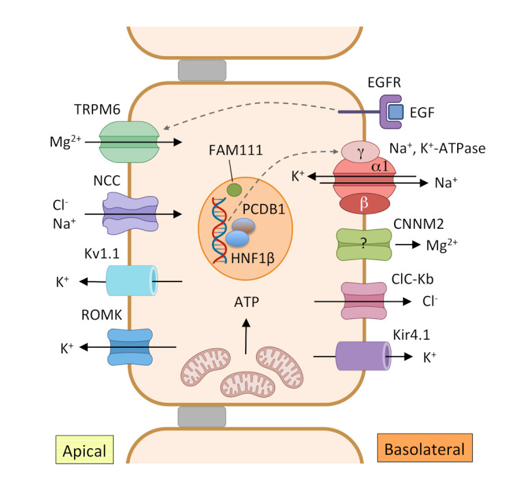 Figure 3.