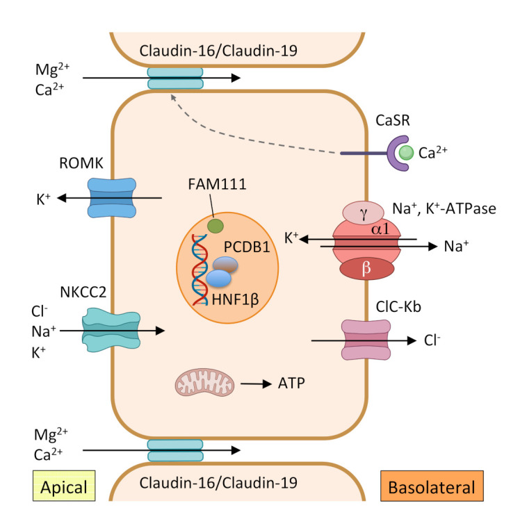 Figure 2.