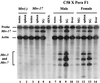 FIG. 7