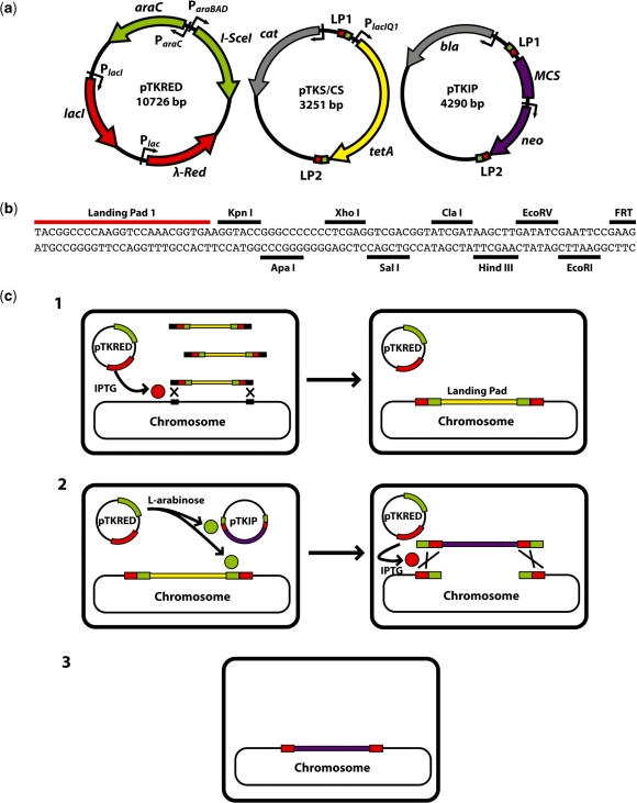 Figure 2.