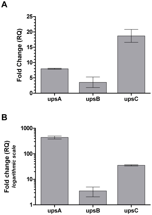 Figure 6