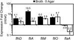 Fig 4