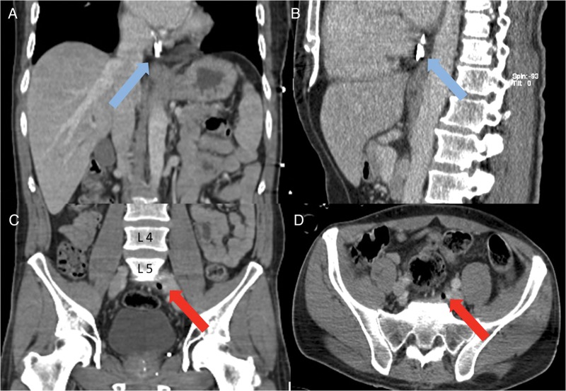 Figure 1: