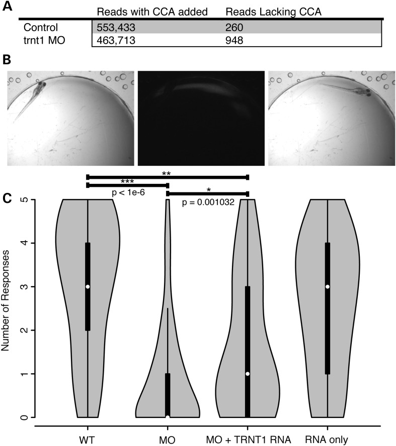 Figure 6.