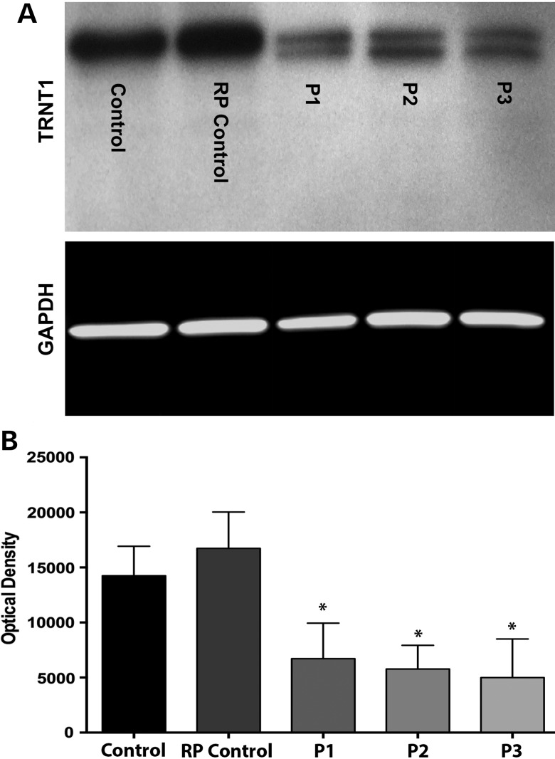 Figure 4.