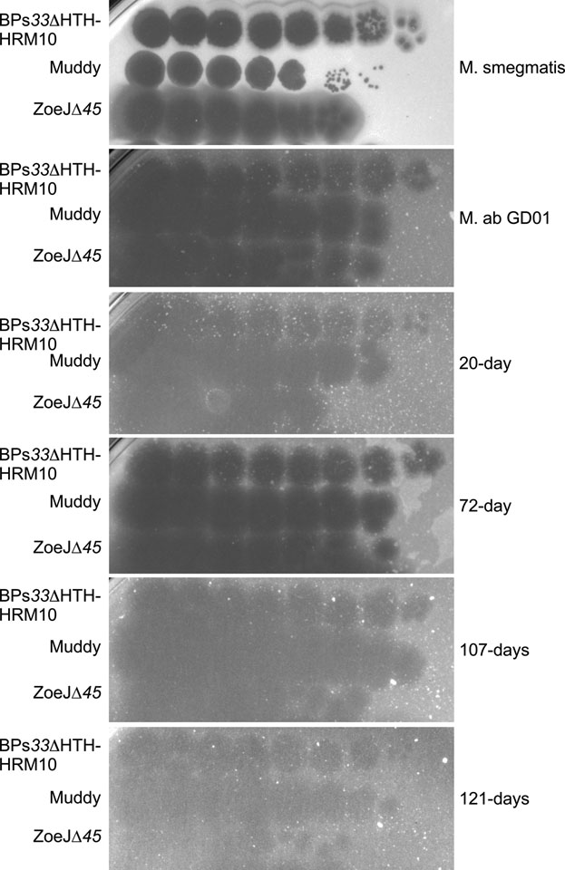 Extended Data Fig.5