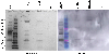 Extended Data Fig.4