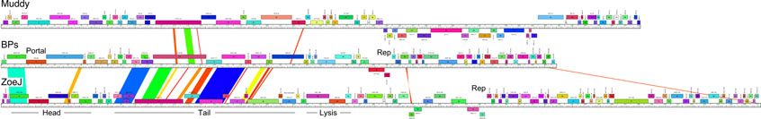 Extended Data Fig.2