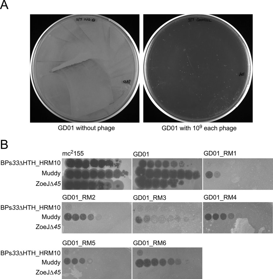 Extended Data Fig.3