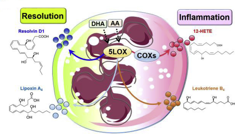 Figure 2: