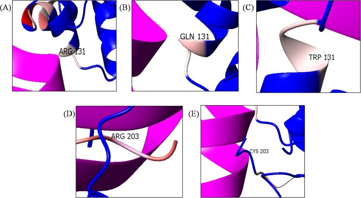 Fig 9