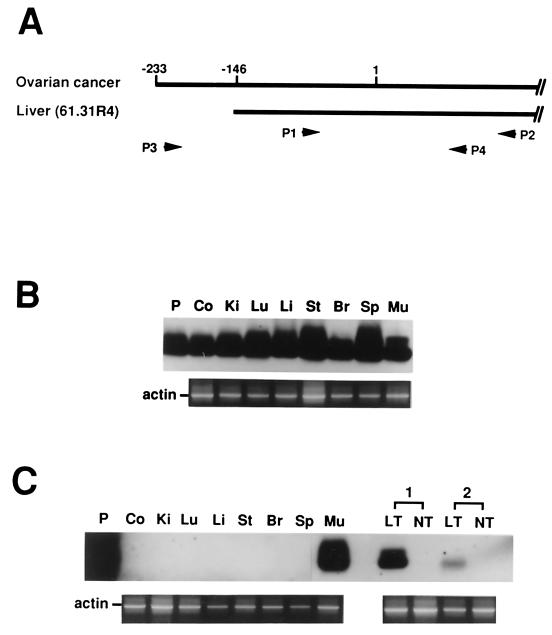 FIG. 5