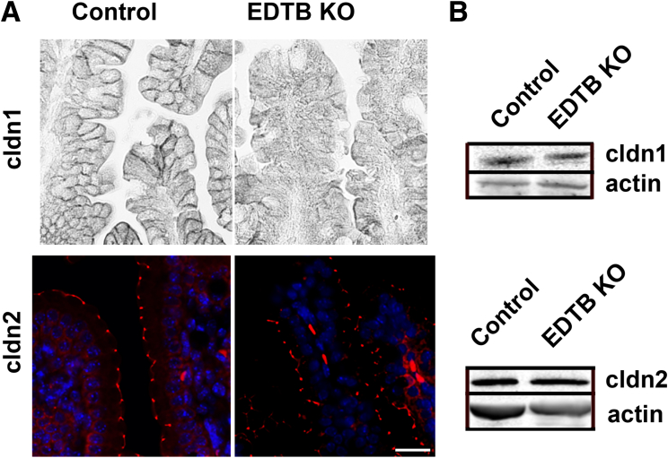 Figure 6