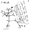 Figure 21