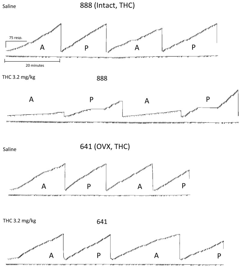 Fig. 4