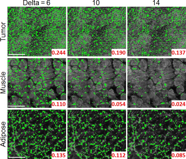 Fig 6