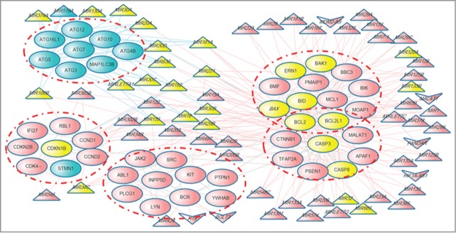 Figure 6.