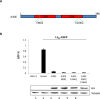 Fig 5