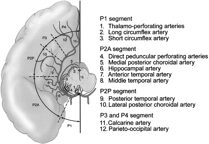 fig 1.