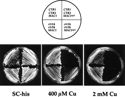 FIG. 8