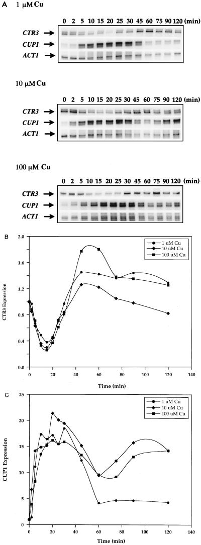 FIG. 7