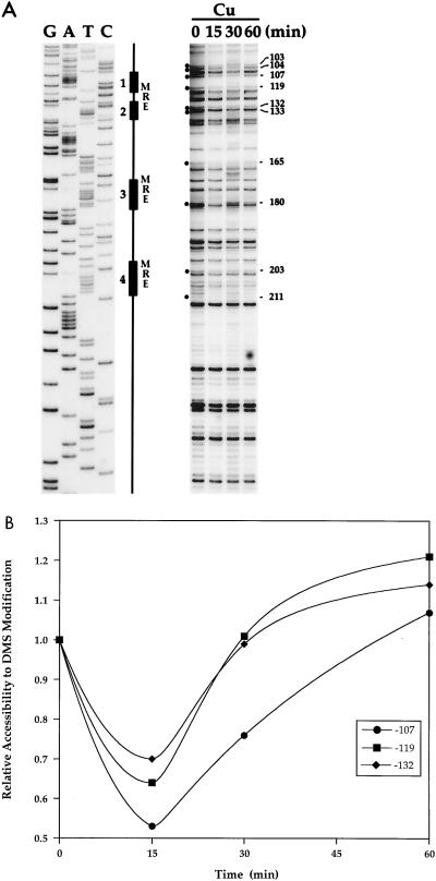 FIG. 5