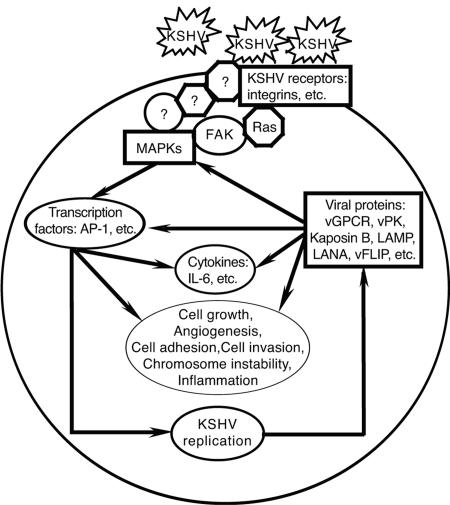 FIG. 8.