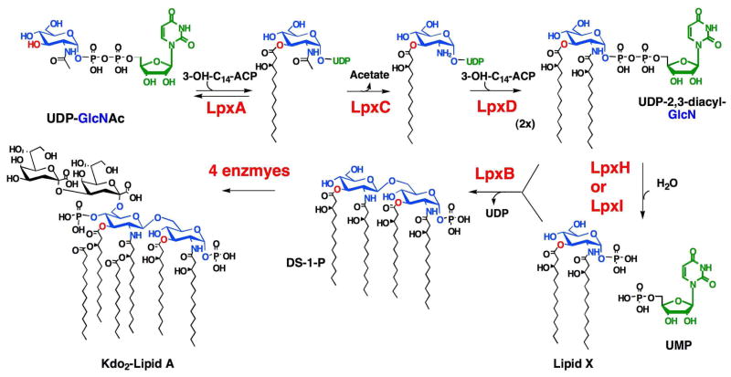 Scheme 1