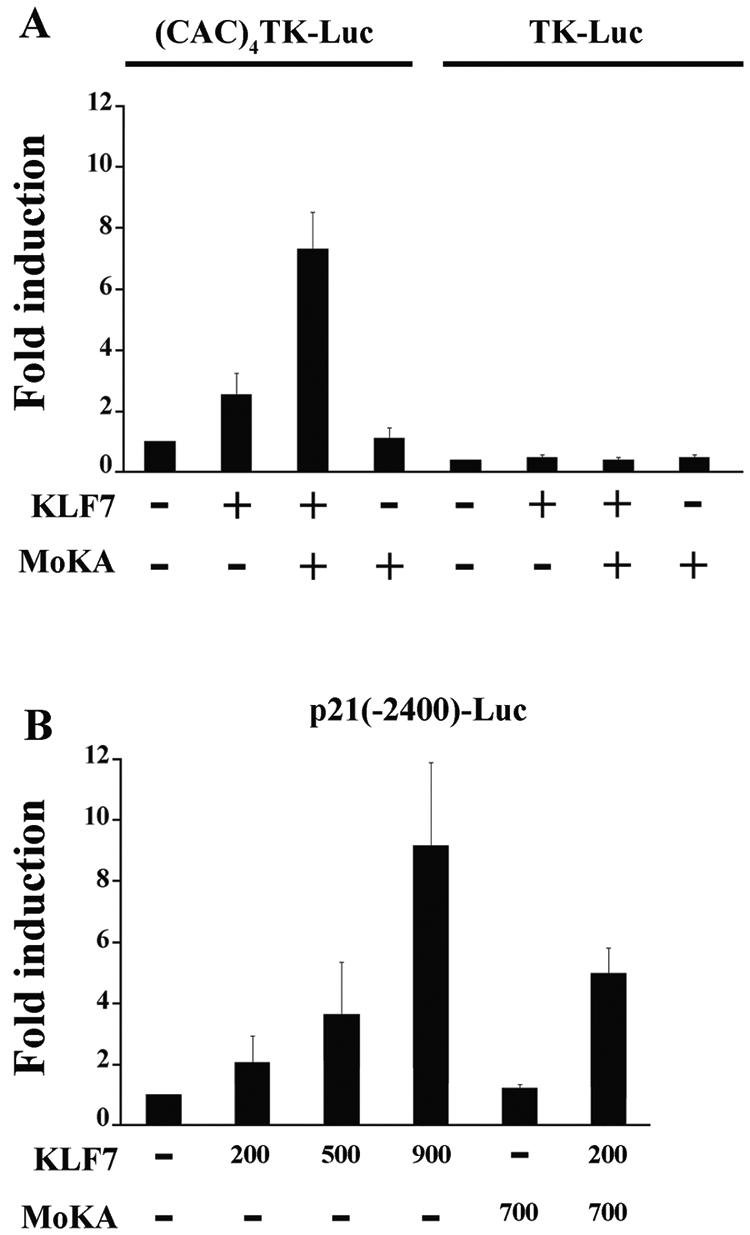 FIG. 5.