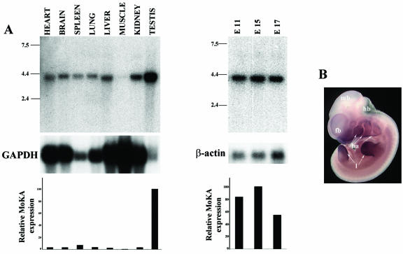 FIG. 6.