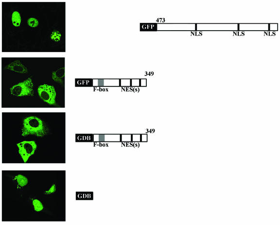 FIG. 11.